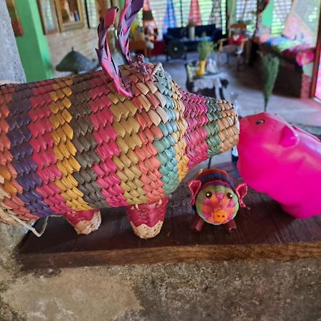 فندق Planta Glamp Farm Santa María Huatulco المظهر الخارجي الصورة