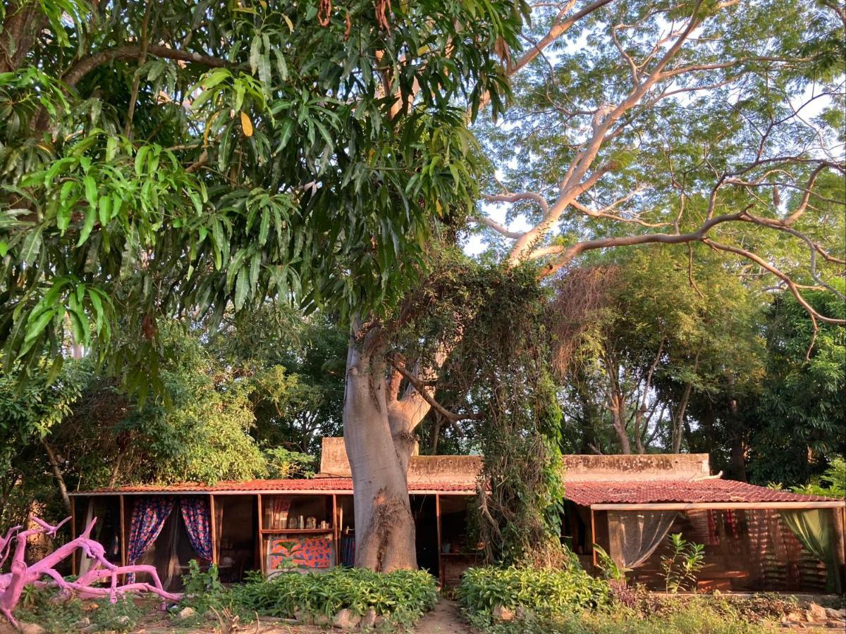 فندق Planta Glamp Farm Santa María Huatulco المظهر الخارجي الصورة