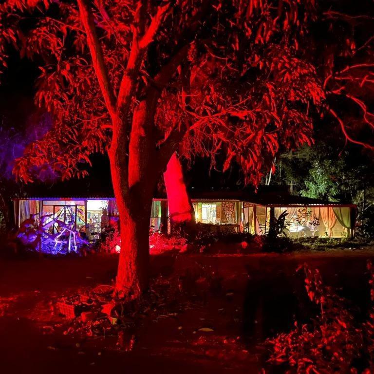 فندق Planta Glamp Farm Santa María Huatulco المظهر الخارجي الصورة
